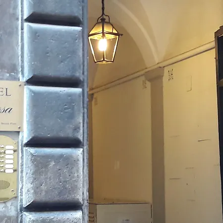 Mimosa Pantheon * רומא