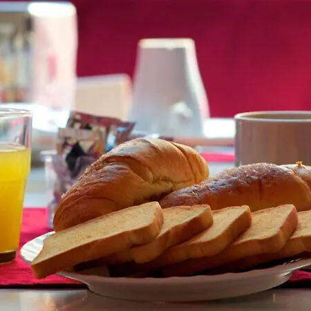 Mimosa Pantheon רומא