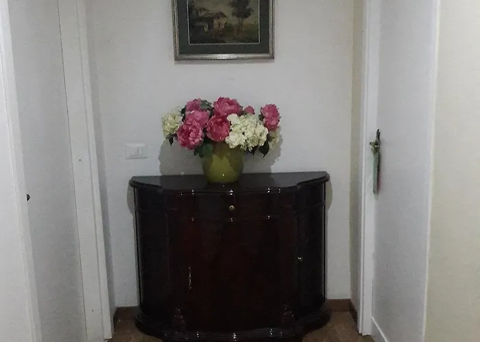 Mimosa Pantheon Rzym