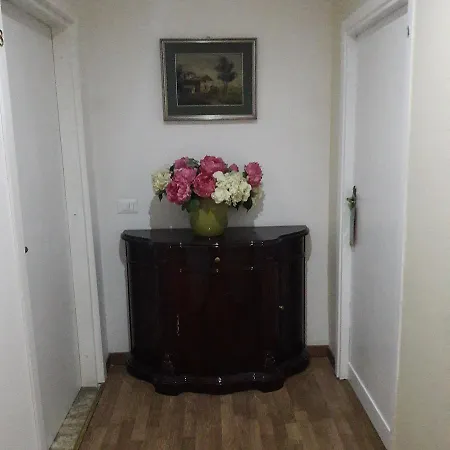 Mimosa Pantheon Róma